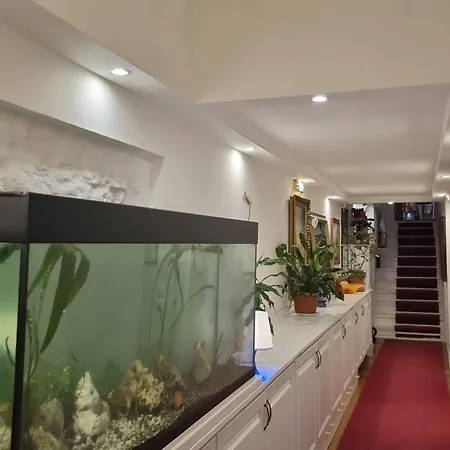 Connection Guest house