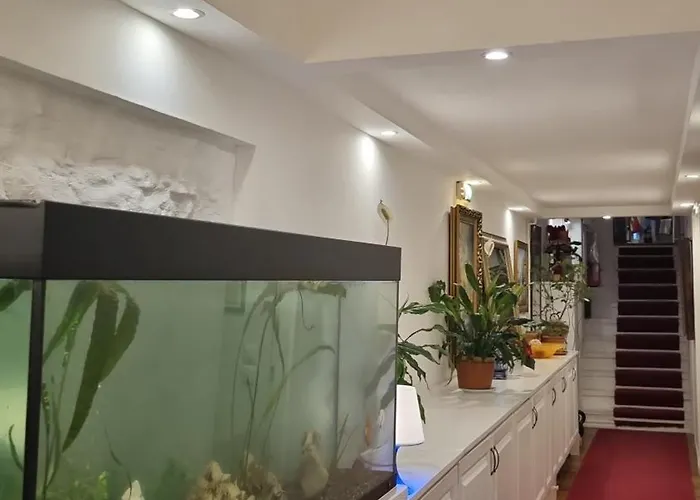 Connection Affittacamere