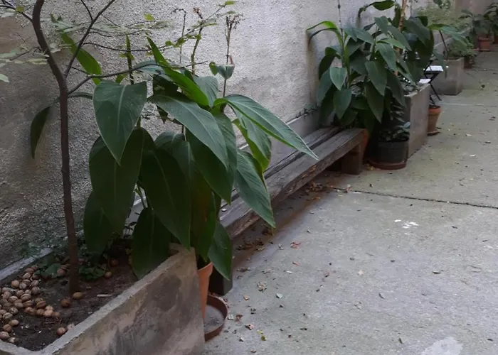 Connection 4* Budapest