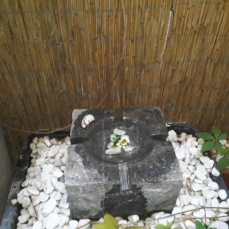 Pensjonat Connection